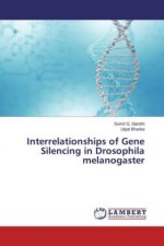 Interrelationships of Gene Silencing in Drosophila melanogaster