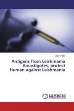 Antigens from Leishmania Amastigotes, protect Human against Leishmania