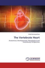 The Vertebrate Heart