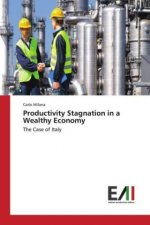 Productivity Stagnation in a Wealthy Economy