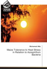 Maize Tolerance to Heat Stress in Relation to Azospirillum Bacteria