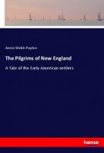 The Pilgrims of New England