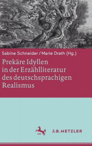Prekare Idyllen in Der Erzahlliteratur Des Deutschsprachigen Realismus