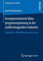 Energieorientierte Walzprogrammplanung in Der Stahlerzeugenden Industrie
