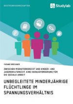 Unbegleitete minderjahrige Fluchtlinge im Spannungsverhaltnis zwischen Migrationsrecht und Kinder- und Jugendhilferecht. Eine Herausforderung fur die