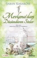 Mevlanadan Düsündüren Sözler