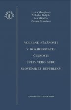 Volebné sťažnosti v rozhodovacej činnosti Ústavného súdu Slovenskej republiky