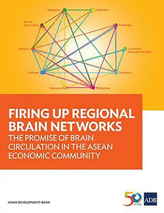 Firing Up Regional Brain Networks