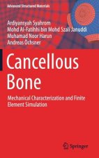Cancellous Bone
