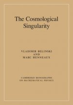 Cosmological Singularity