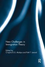 New Challenges in Immigration Theory