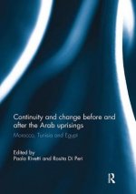 Continuity and change before and after the Arab uprisings