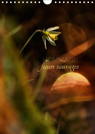 Hommage Fleurs Sauvages 2018