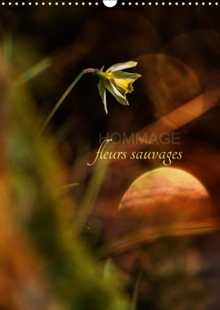 Hommage Fleurs Sauvages 2018