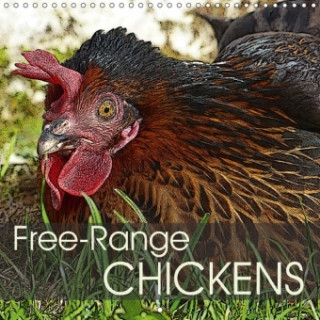 Free-Range Chickens 2018