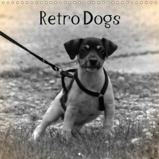 Retro Dogs 2018