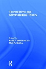 Technocrime and Criminological Theory