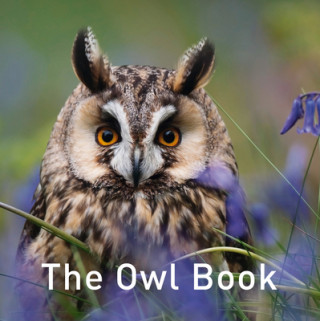 Owl Book