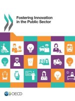 Fostering innovation in the public sector