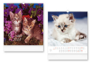 Cats 2018 - nástěnný kalendář