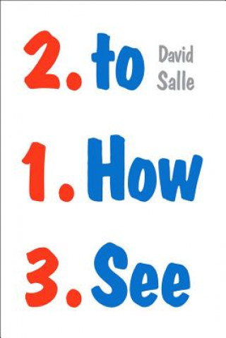 How to See (David Salle)(Brožovaná)