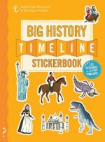 The Big History Timeline Stickerbook: From the Big Bang to the Present Day; 14 Billion Years on One Amazing Timeline!