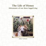 Life of Honey