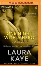 One Night with a Hero