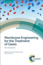 Membrane Engineering for the Treatment of Gases