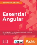 Essential Angular