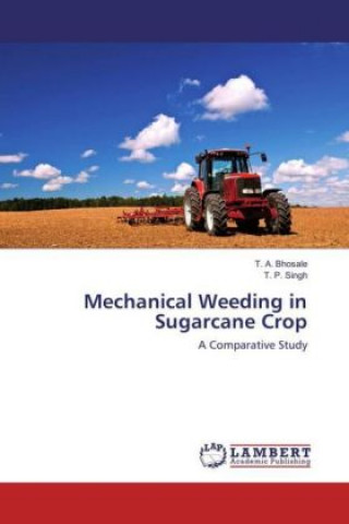 Mechanical Weeding in Sugarcane Crop
