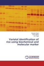 Varietal identification of rice using biochemical and molecular marker