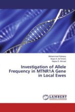 Investigation of Allele Frequency in MTNR1A Gene in Local Ewes