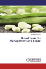 Broad bean: Its Management and Scope