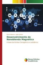 Desenvolvimento de Nanoblenda Magnética