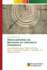(Des)caminhos da Borracha na Literatura Amazônica