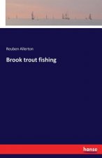 Brook trout fishing