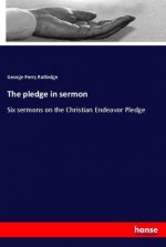 The pledge in sermon