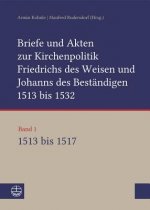 Briefe und Akten zur Kirchenpolitik Friedrichs des Weisen und Johanns des Beständigen 1513 bis 1532. Reformation im Kontext frühneuzeitlicher Staatswe