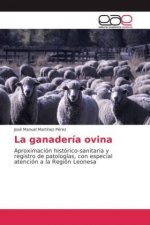 La ganadería ovina