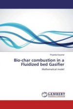 Bio-char combustion in a Fluidized bed Gasifier