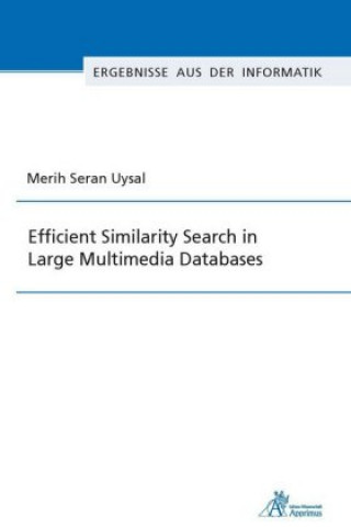 Efficient Similarity Search in Large Multimedia Databases