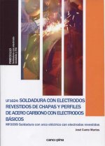 UF1624 Soldadura con electrodos revestidos de chapas y perfiles de acero carbono con electrodos básicos