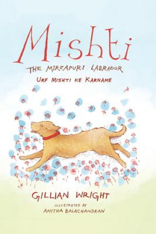 Mishti, the Mirzapuri Labrador