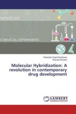 Molecular Hybridization: A revolution in contemporary drug development