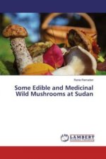 Some Edible and Medicinal Wild Mushrooms at Sudan