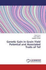 Genetic Gain in Grain Yield Potential and Associated Traits of Tef