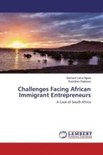 Challenges Facing African Immigrant Entrepreneurs