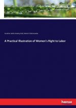 Practical Illustration of Women's Right to Labor