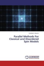 Parallel Methods For Classical and Disordered Spin Models